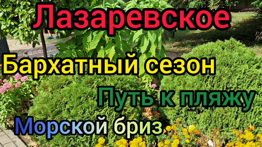 Лазаревское/Бархатный сезон/Путь к пляжу Морской бриз