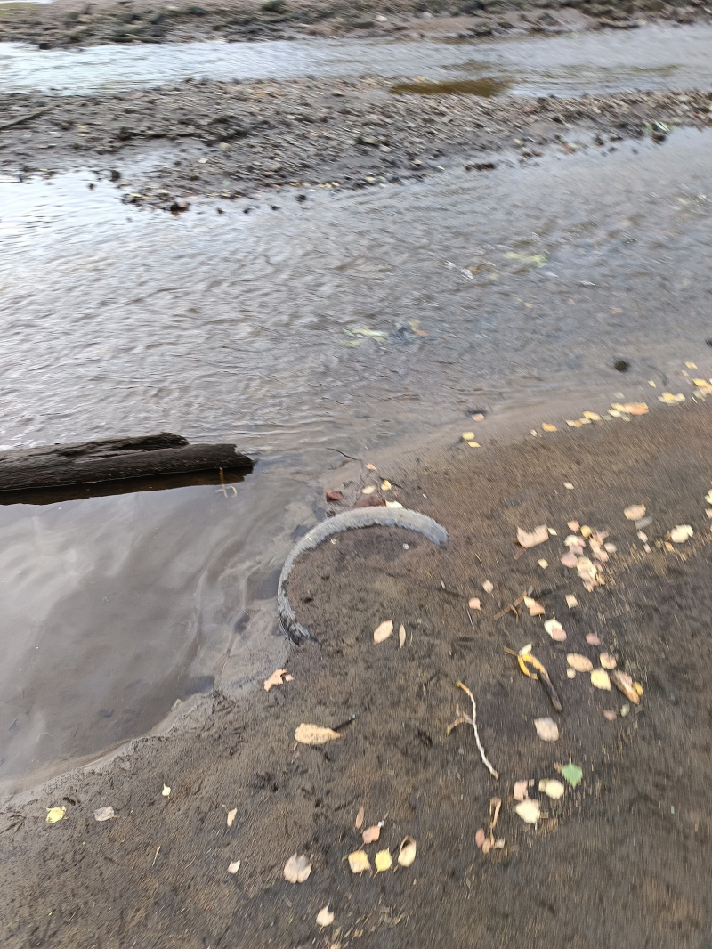    Тележку из магазина и горы мусора нашли в пруду Петрозаводска