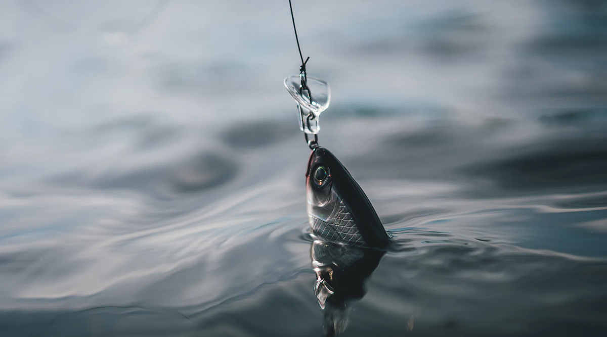 Headbanger Cranky Shad