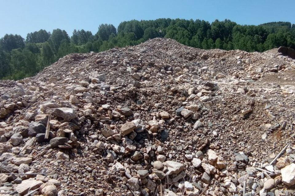    Участок в Алтайском крае, где велась золотодобыча. Источник: Толк