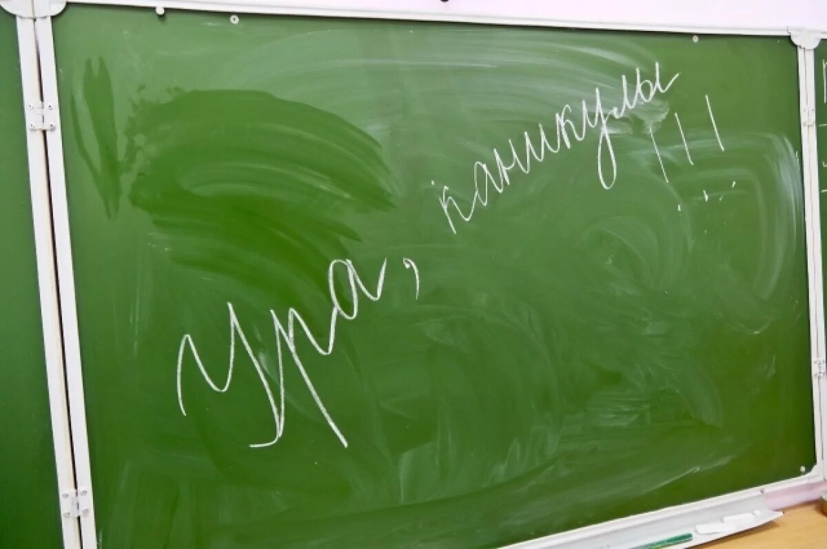    Аналитики: Воронежские родители уйдут в отпуск во время школьных каникул