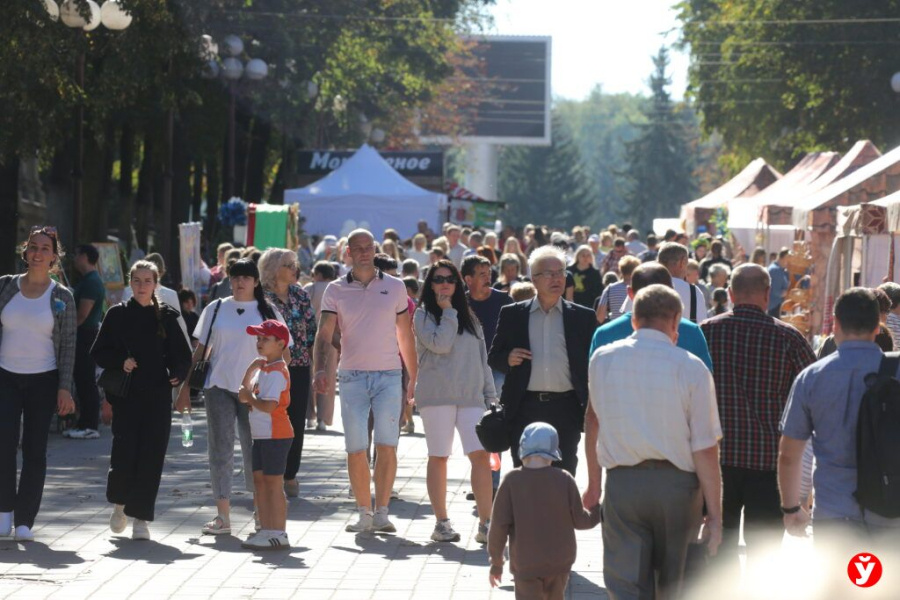     Вырастут пенсии, узаконят ОСАГО и ограничат деятельность ИП — изменения для белорусов в октябре