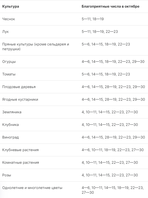 источник: mail.ru