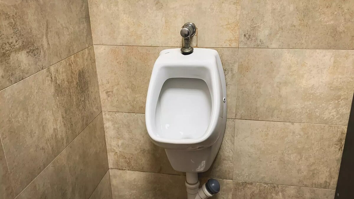     Источник: 1MI