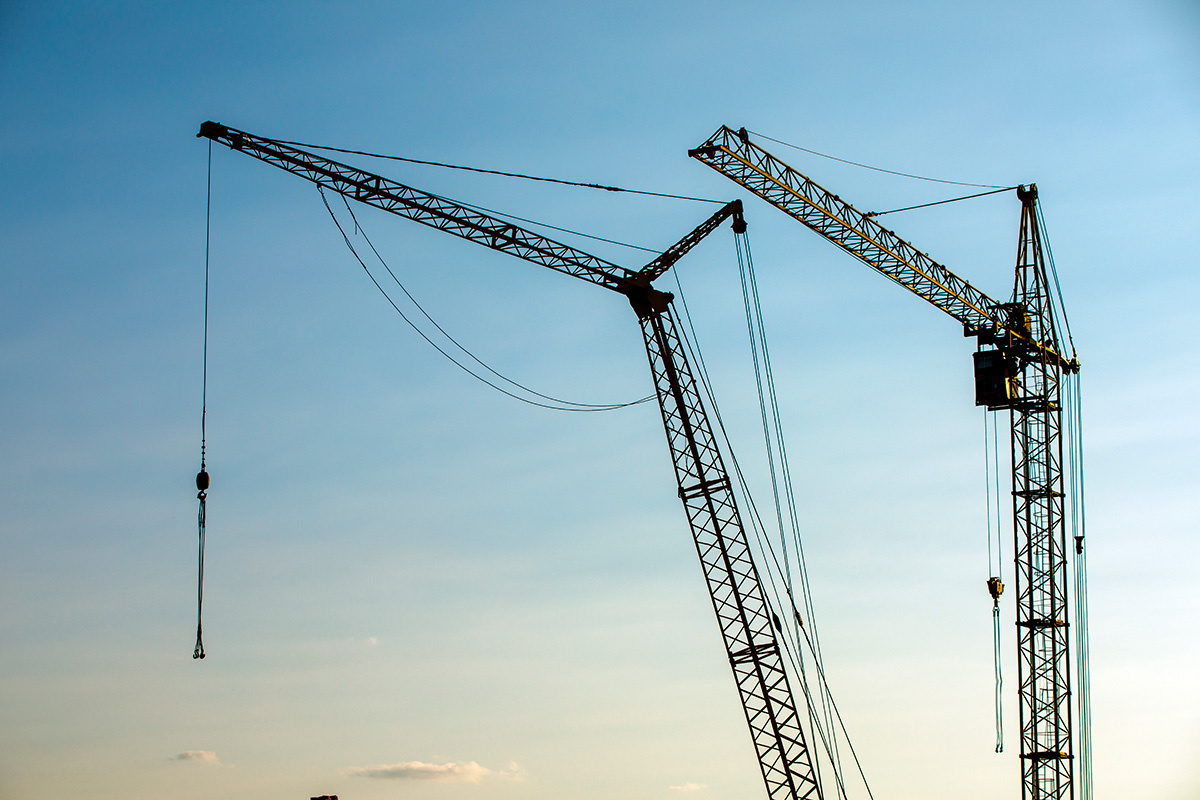    Фото: Ruslan Ivantsov / Shutterstock.com