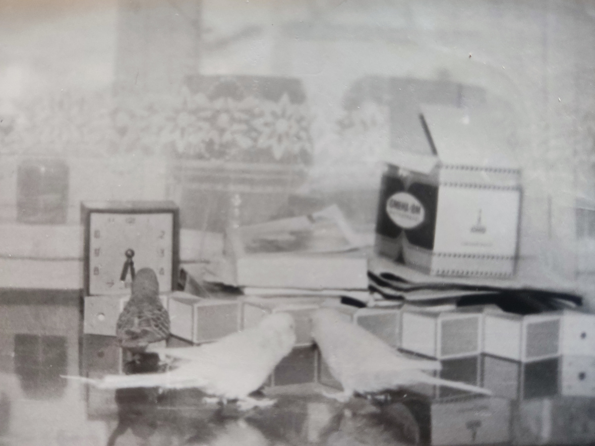 Лара, Кеша и Ромка.