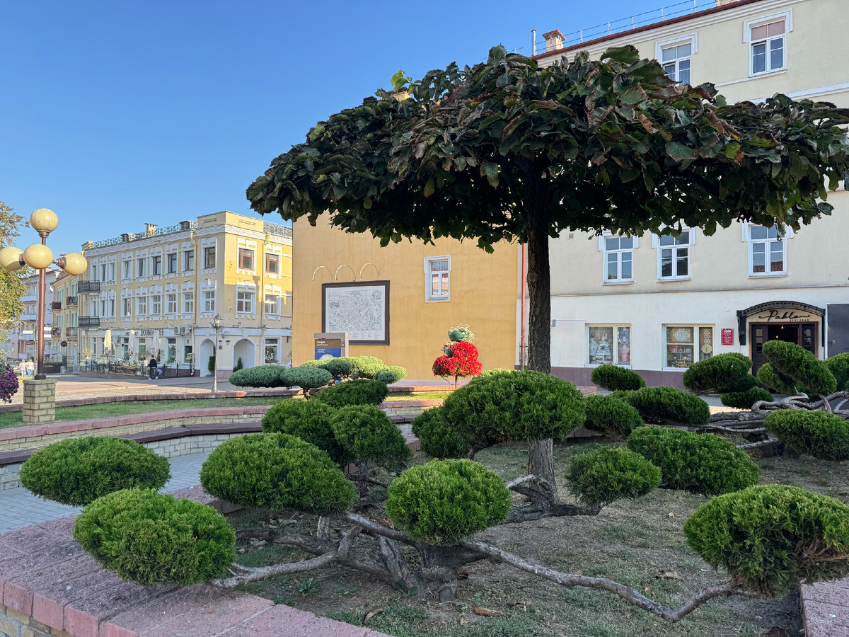 Парк. Фото автора.