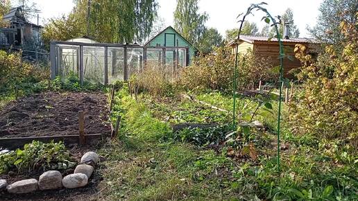 Осенние разговоры у костра на Кумихиной даче 👩‍🌾🌾🍁