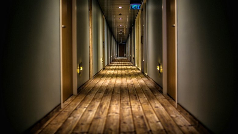 Источник: runnyrem/CC0