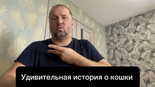 Удивительная история о коте