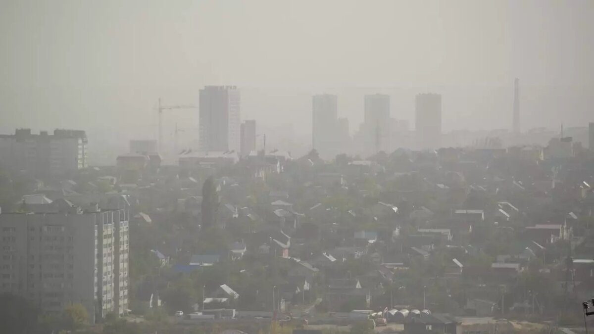     Автор: Антон Засимов Источник: novostivolgograda.ru