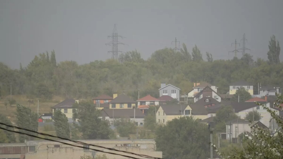     Автор: Антон Засимов Источник: novostivolgograda.ru