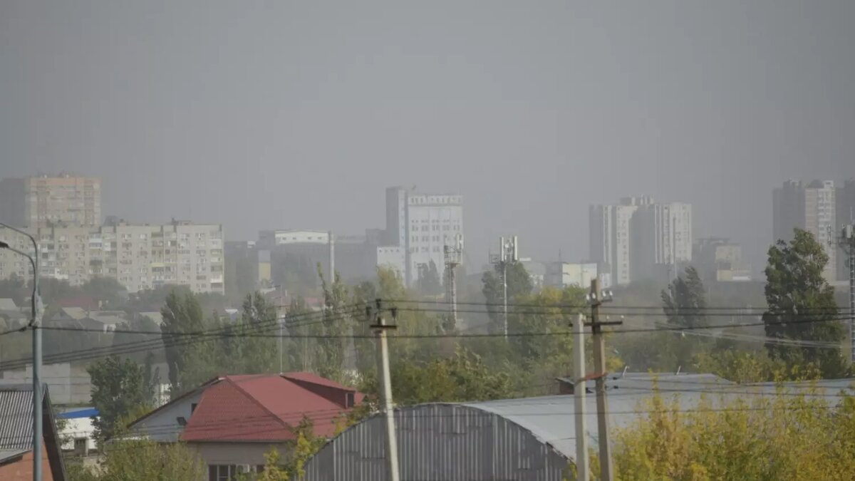     Автор: Антон Засимов Источник: novostivolgograda.ru