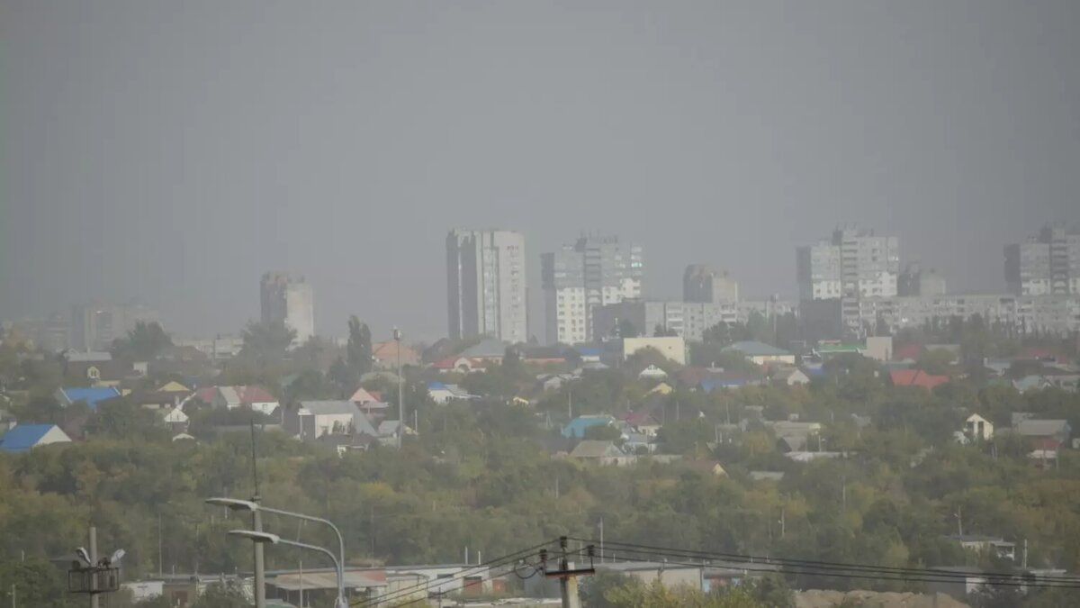     Автор: Антон Засимов Источник: novostivolgograda.ru