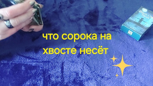 🌞❗️ЧТО СОРОКА НА ХВОСТЕ НЕСЁТ ❗️✨️Важная информация ✨️ Таро