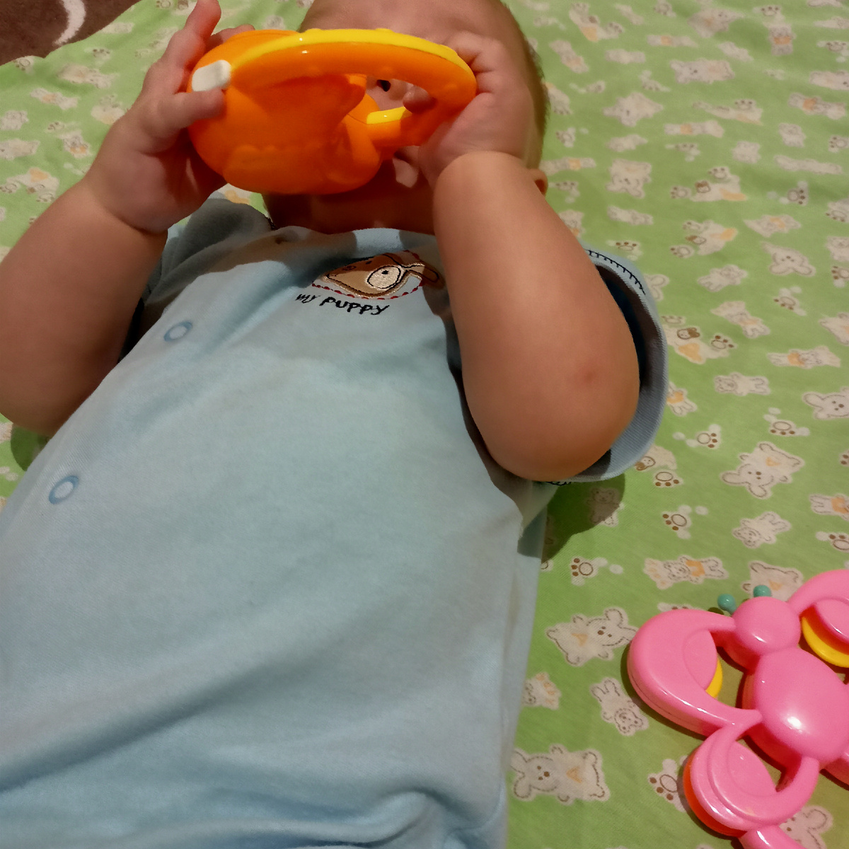 Когда повезло)) грызёт погремушку) фото автора 