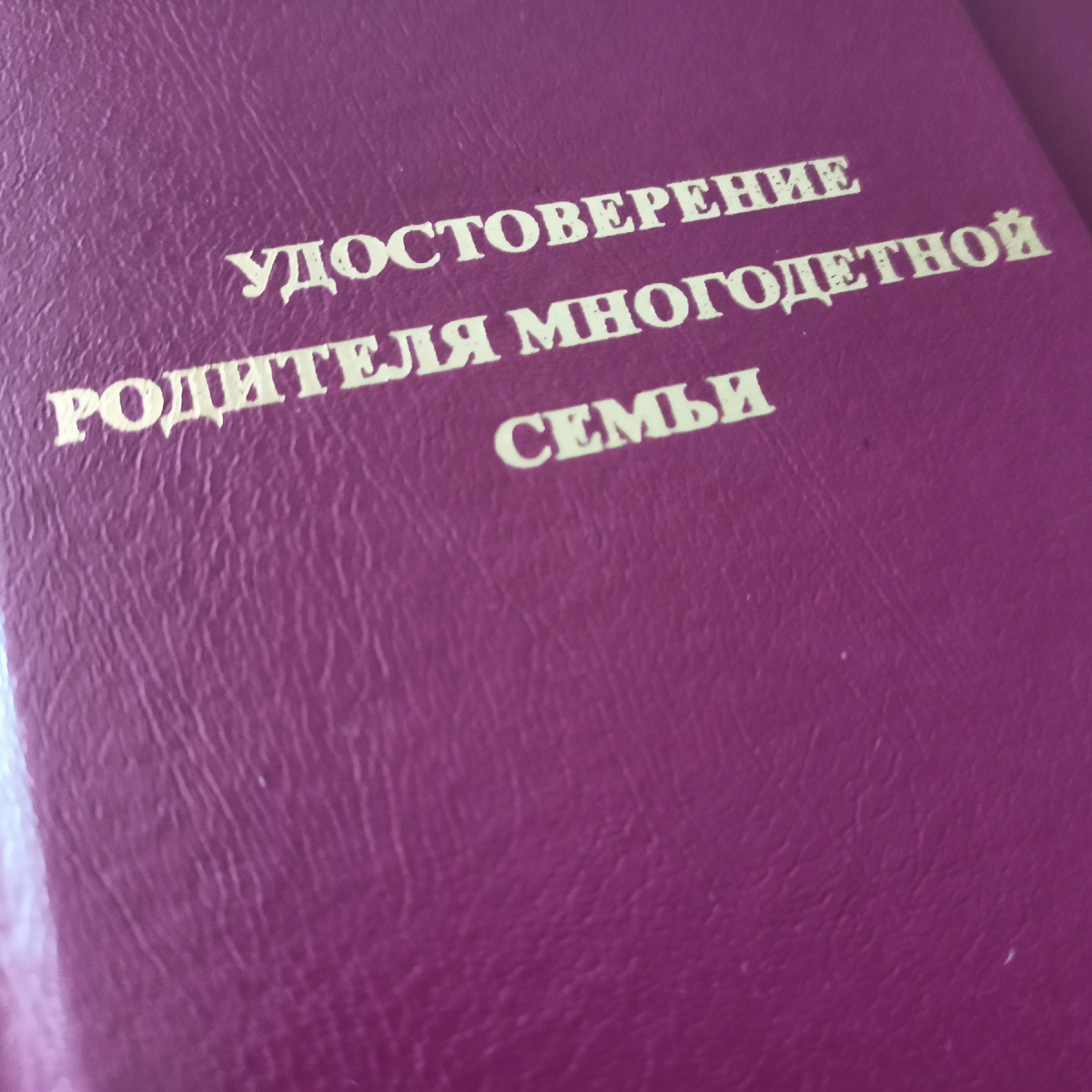 Теперь у меня есть удостоверение 😎😄 фото автора 