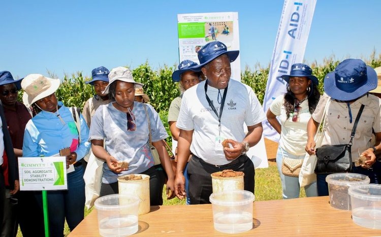    В Африке запустили семинары по наглядному замачиванию почвы для лучшего понимания регенеративного земледелия