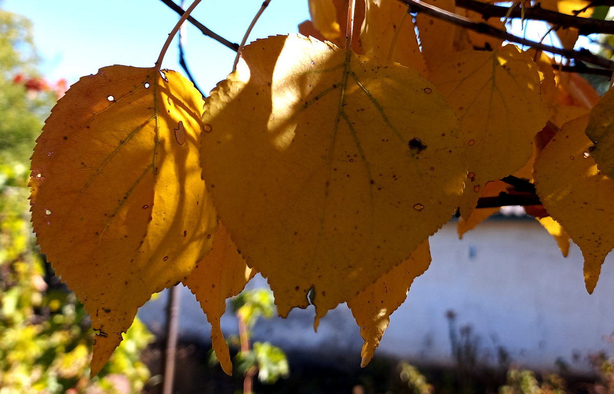 Донецк 30 сентября 2024