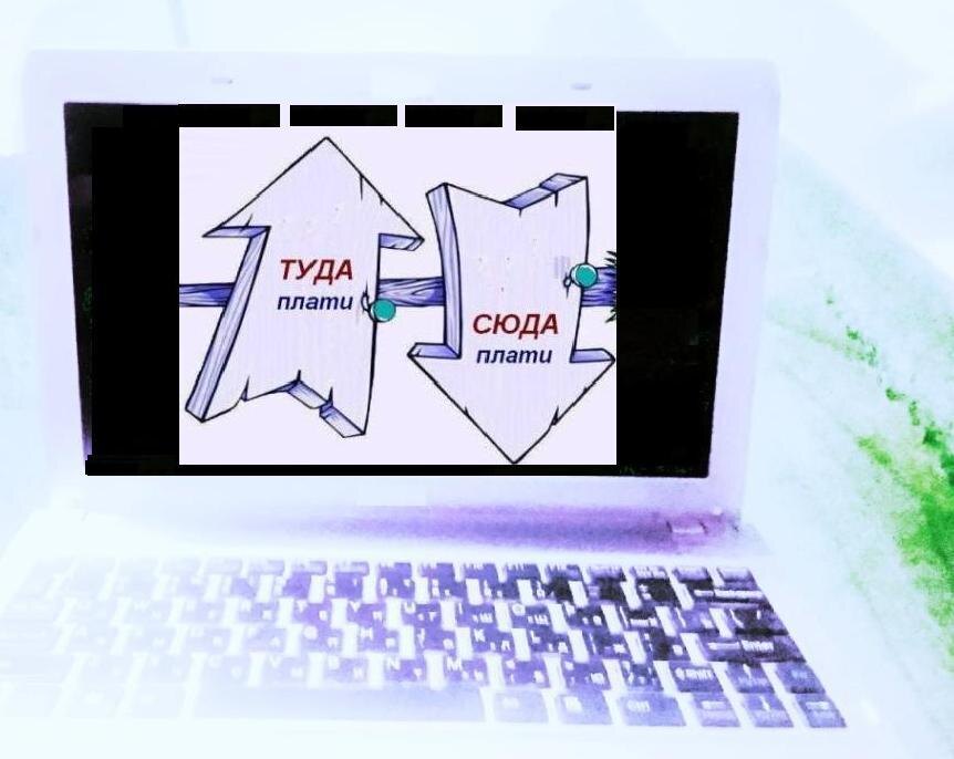 Фото автора.