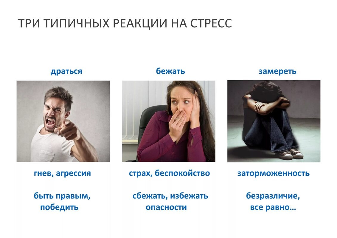 Фото из открытых источников интернета