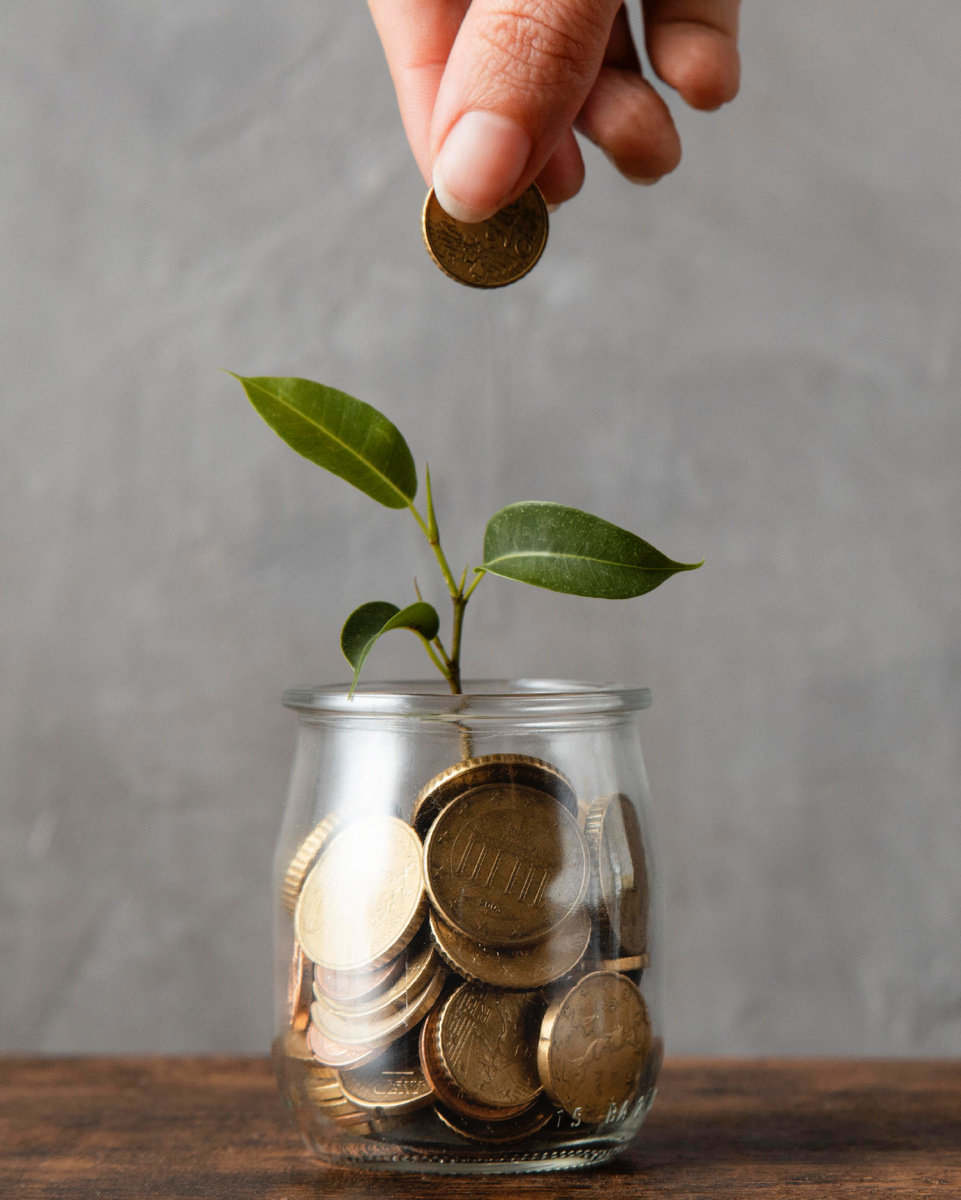 <a href="https://ru.freepik.com/free-photo/front-view-hand-adding-coin-jar-with-plant-other-coins_11764447.htm#fromView=search&page=1&position=5&uuid=97740799-eaf1-429a-bbea-33eab9aa38e1">Изображение от freepik</a>