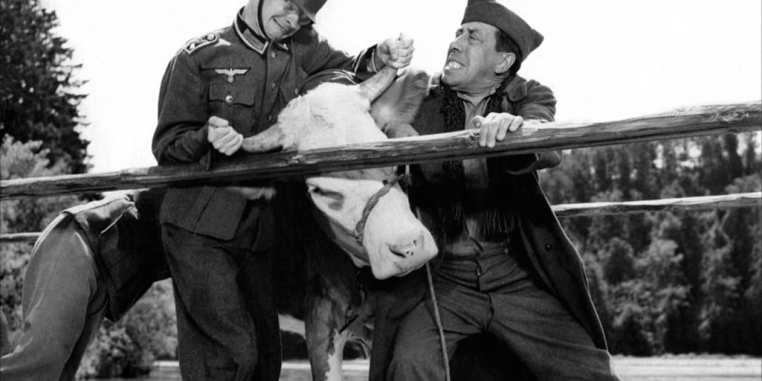 Корова как аргумент...