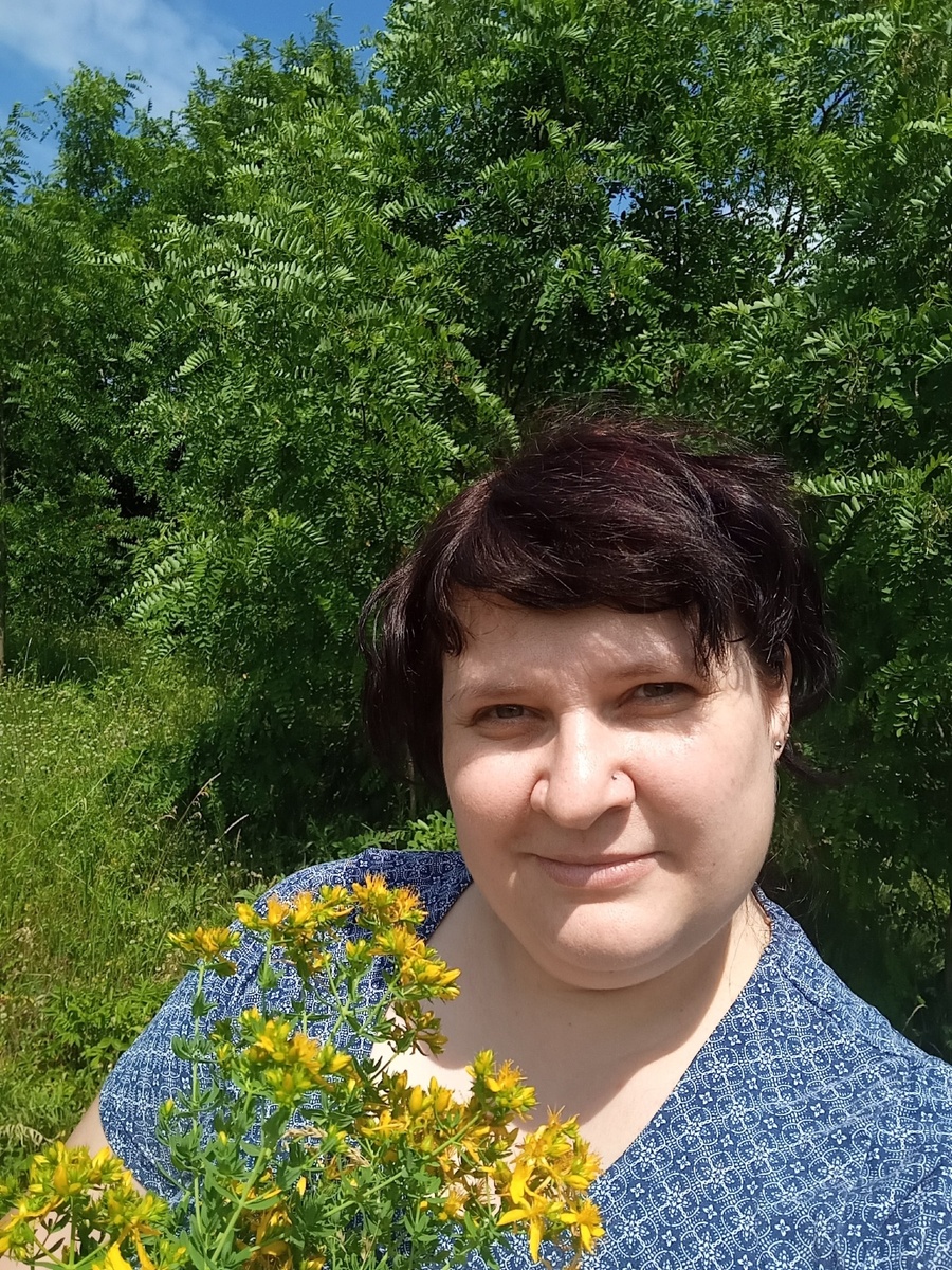 Зверобой