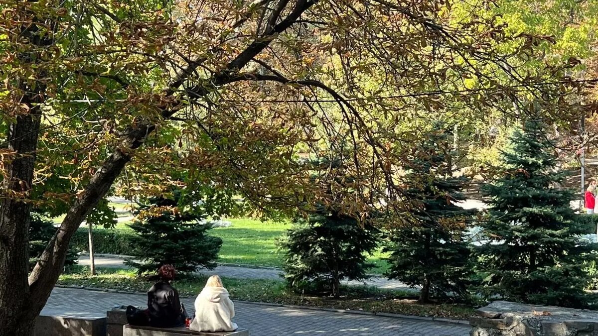     Источник: rostovgazeta.ru