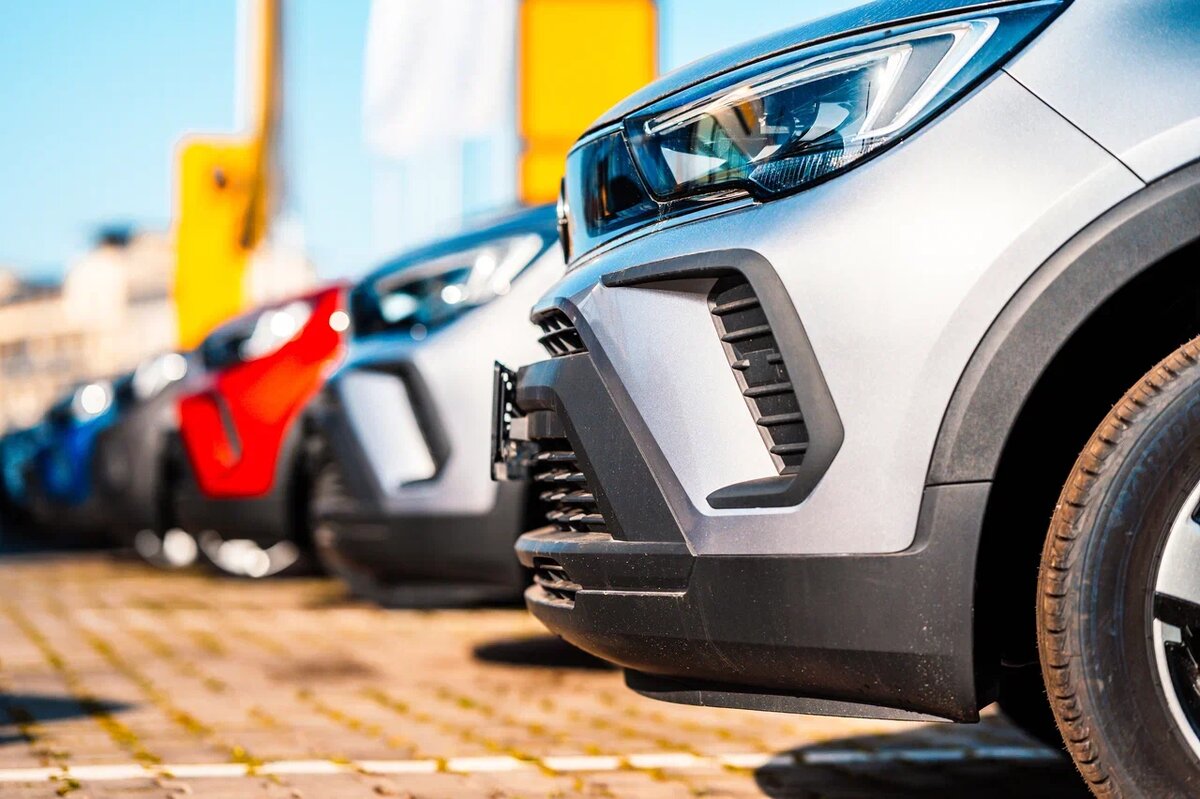 Фото: Shutterstock