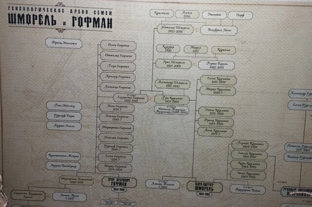    Фото: АиФ Оренбург/ Евгения Чернова