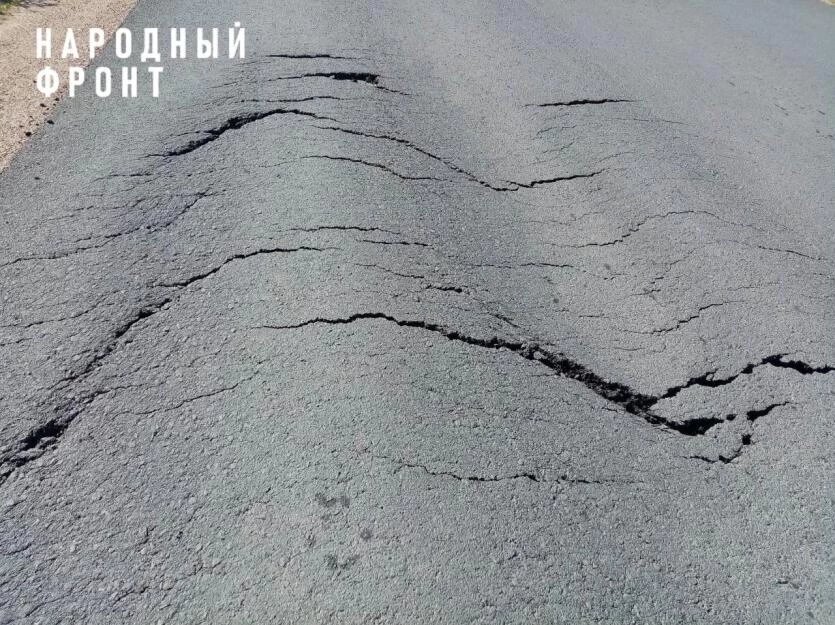 Фото: Народный фронт в Челябинской области