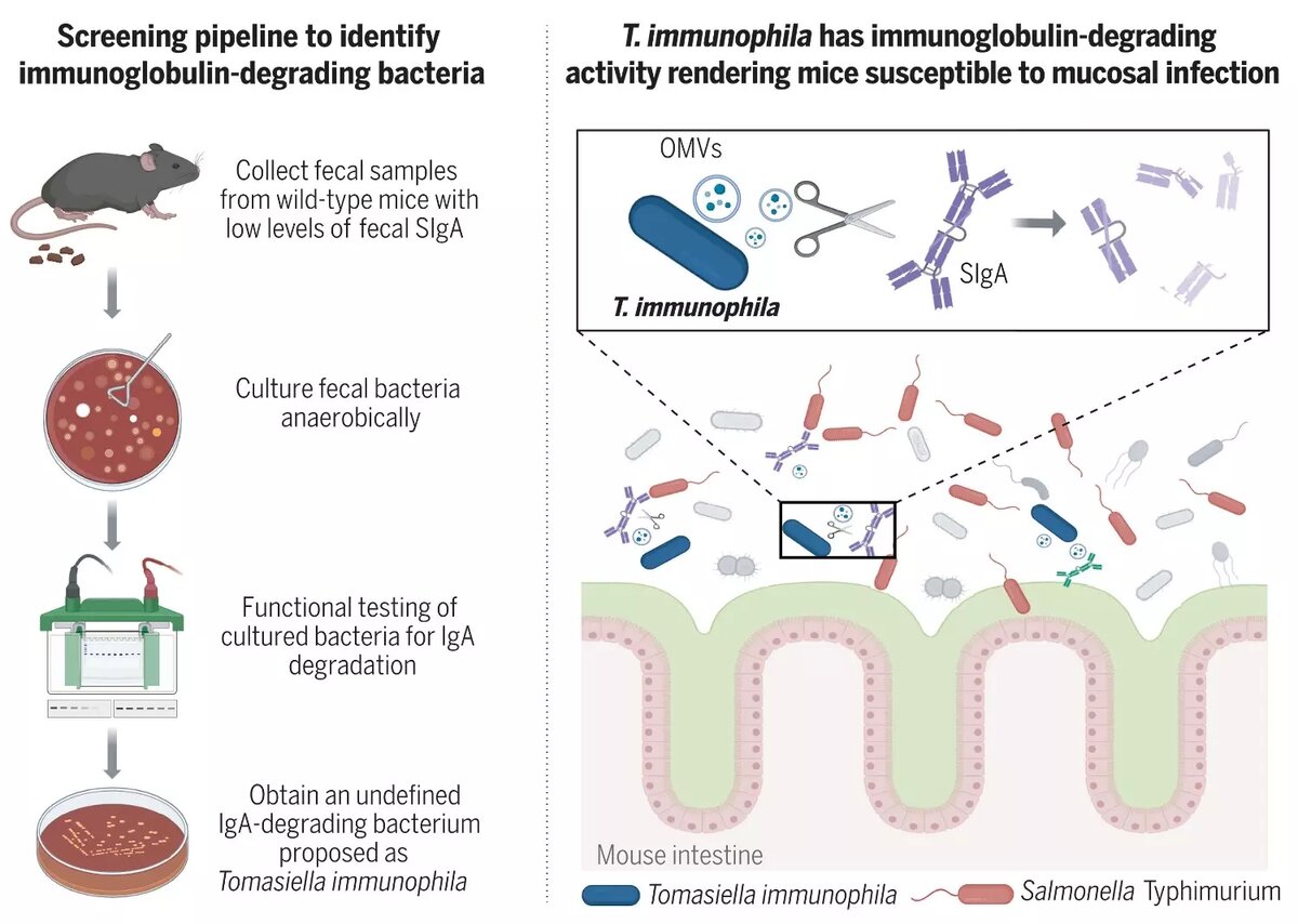     Источник: science.org