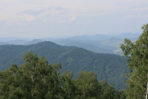    Республика Алтай. Фото: НИА «Экология»