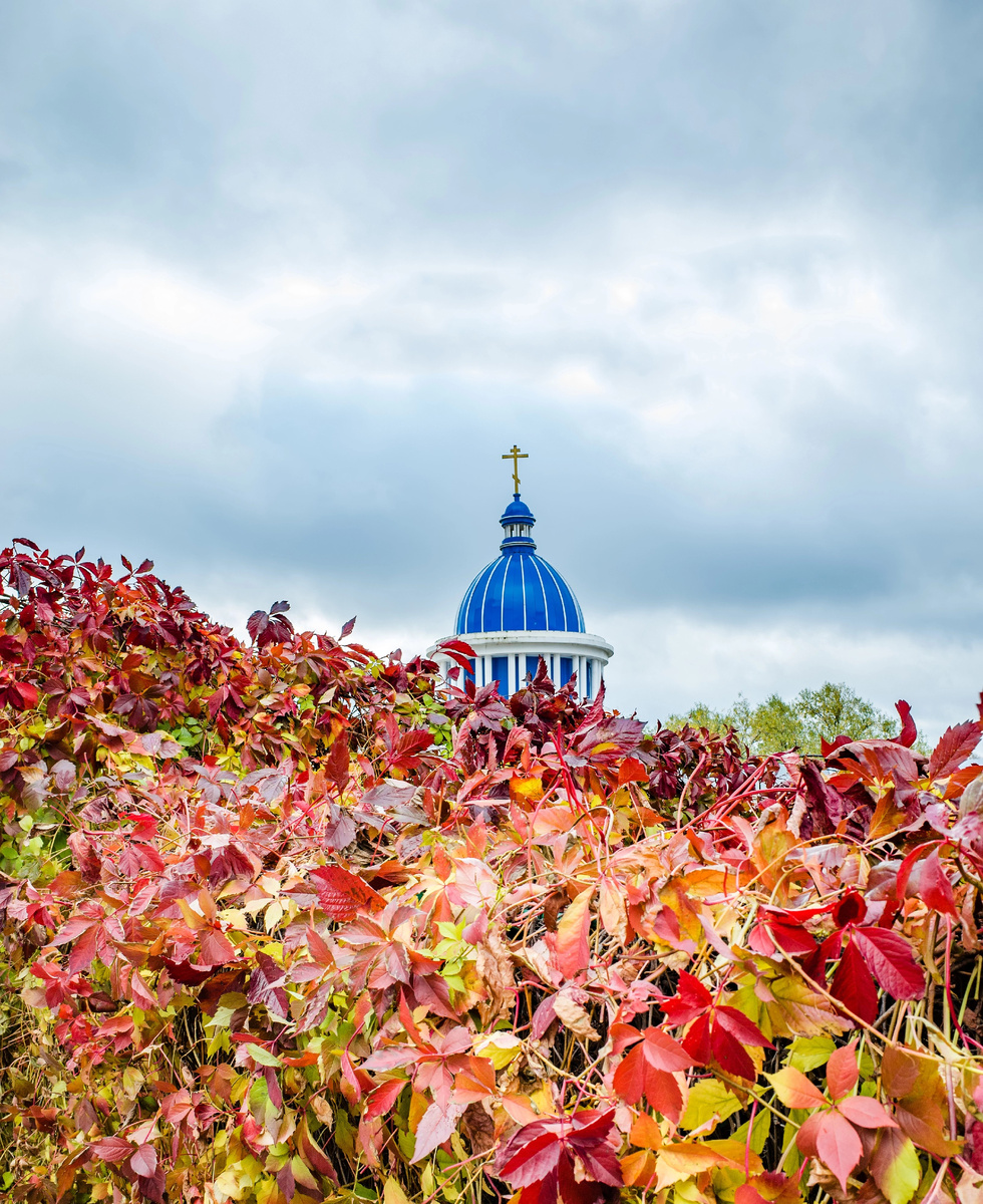 Фото: KURLIN_CAfE / Фотобанк Фотодженика