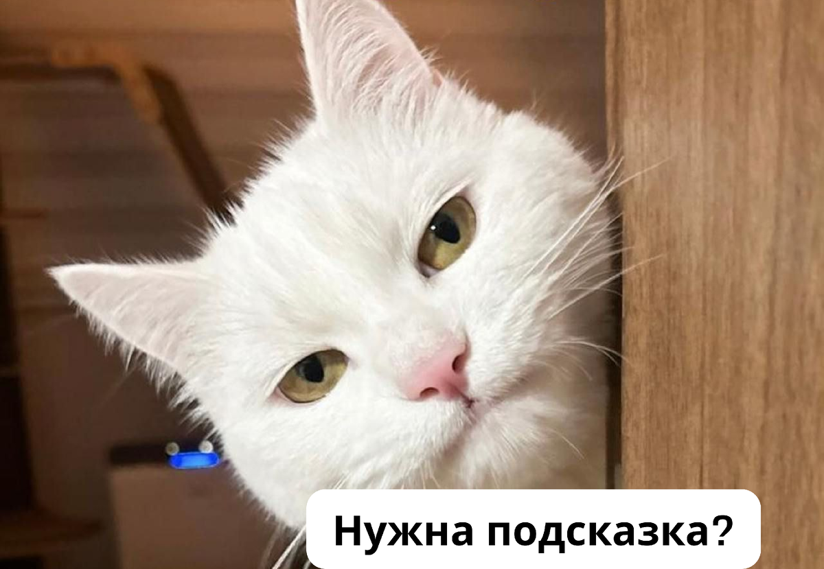 Источник: freepik.com