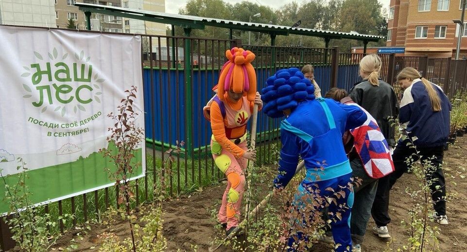    Пресс-служба администрации г.о. Лобня