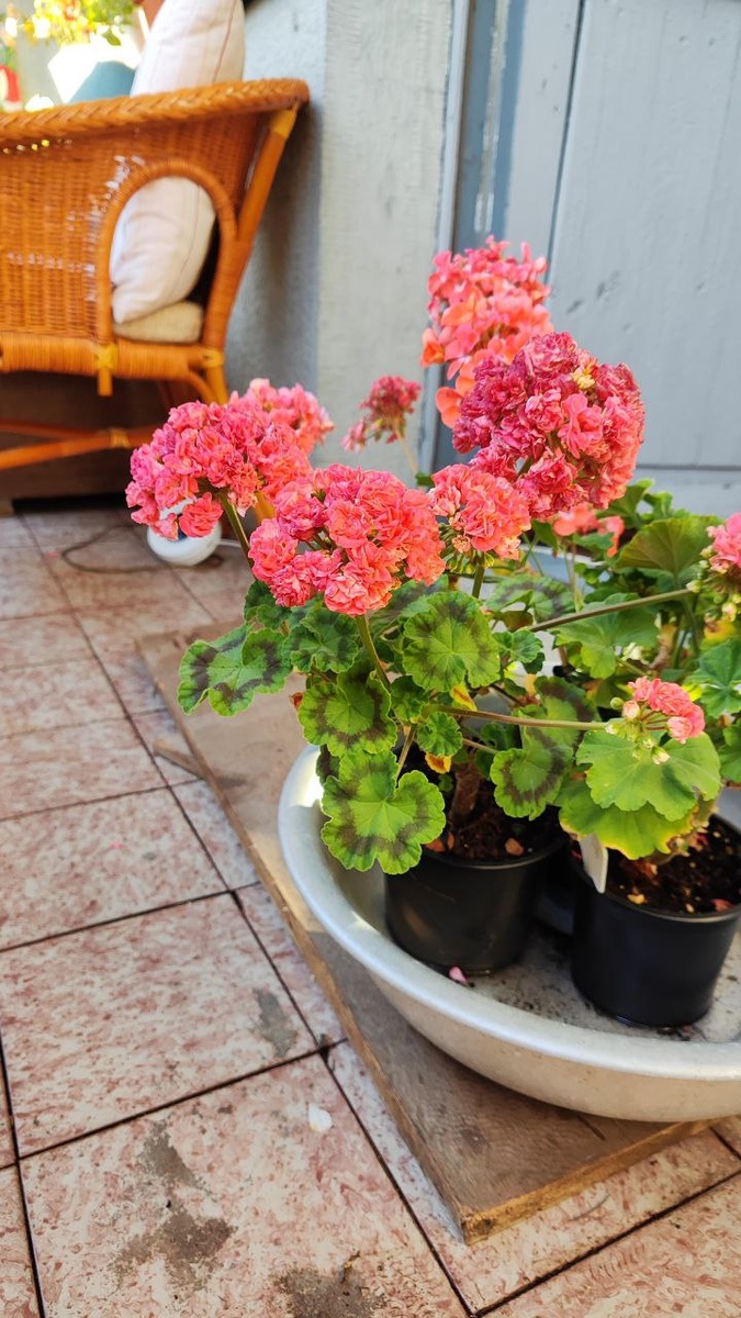 Фото из личного архива