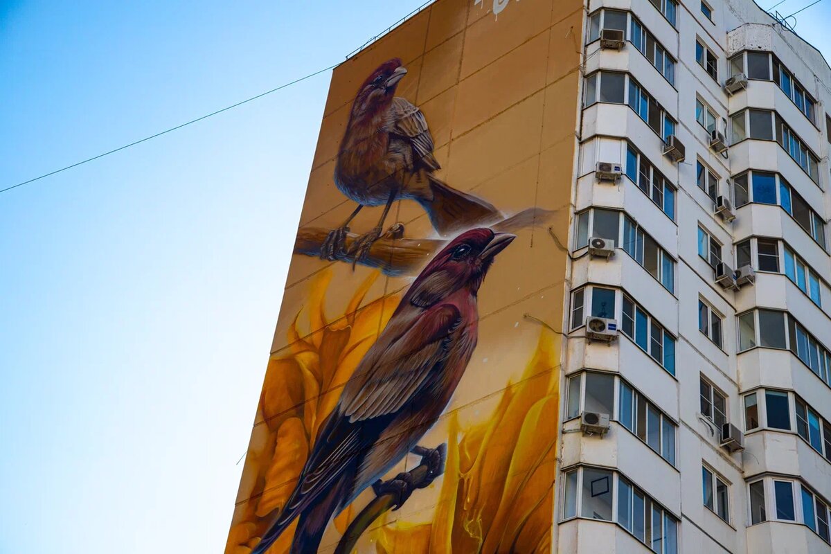Фото: Варвара Вострокнутова, "КИ"