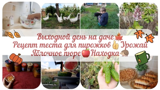 Download Video: БУДНИ МАМЫ😊ТЕСТО ДЛЯ ПИРОЖКОВ😋ВЫХОДНОЙ ДЕНЬ НА ДАЧЕ🍁ВЫКОПАЛИ КАРТОФЕЛЬ, СОБРАЛИ УРОЖАЙ🍉НАХОДКА🦔ЯБЛОЧНОЕ ПЮРЕ🍎