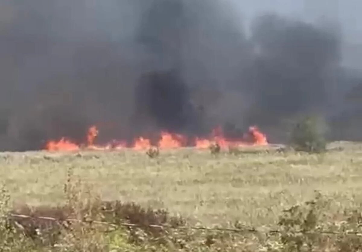    В Ростовской области продолжают тушить три лесных пожара