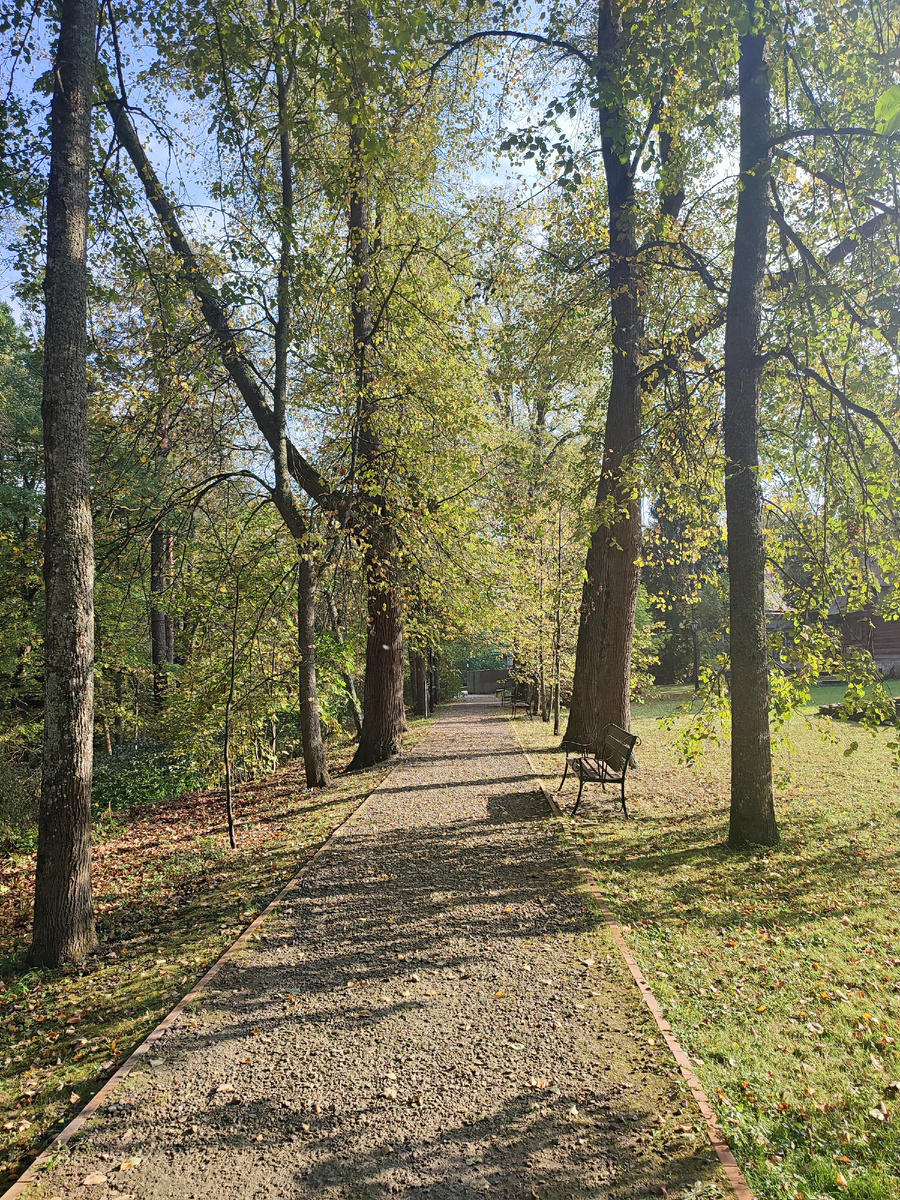 Аллея в парке. 
