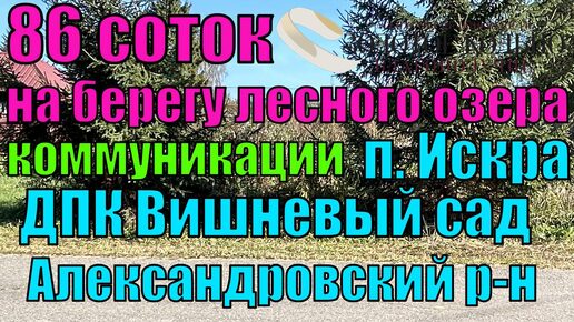 Участок 86 соток, состоящий из 5 лесных участков, четыре из которых расположены в поселке Искра