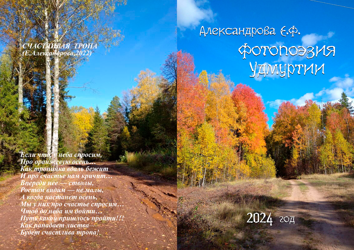 Макет обложки книги-фотоальбома. Дизайн студия "Красные маки"