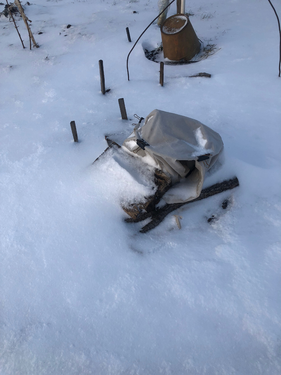 04.12.2023 года, все фото автора