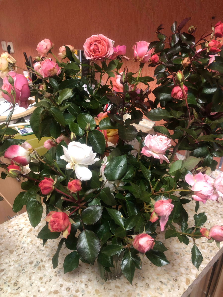 букет автора. 