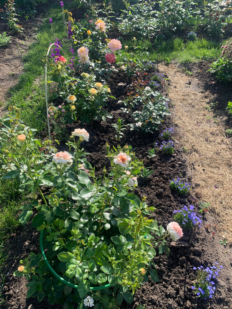 25.06. вид от места отдыха.