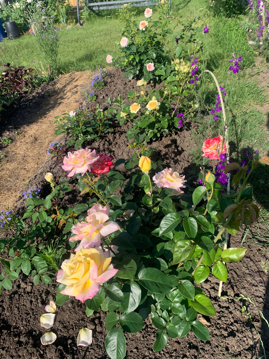 25.06 а это с другой стороны на газон.