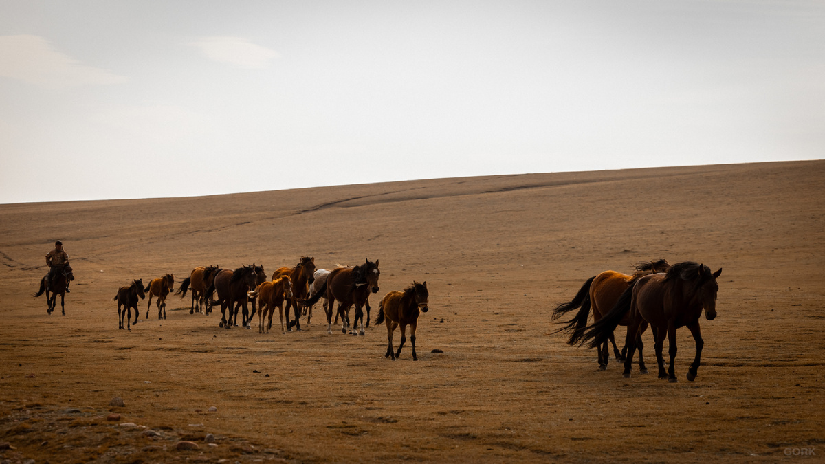 Photo: GORK | Geo: Kyrgyzstan, KG