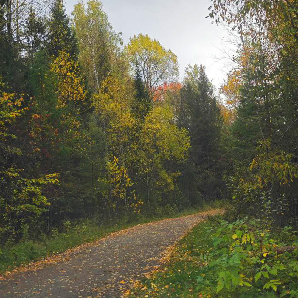 Осенняя дорога